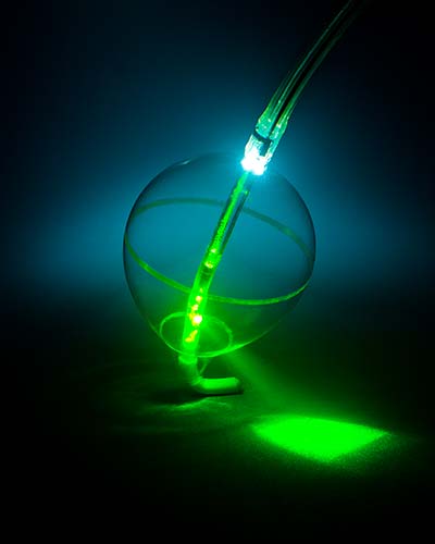 Cardiofocus Life Sciences Ablation Tool