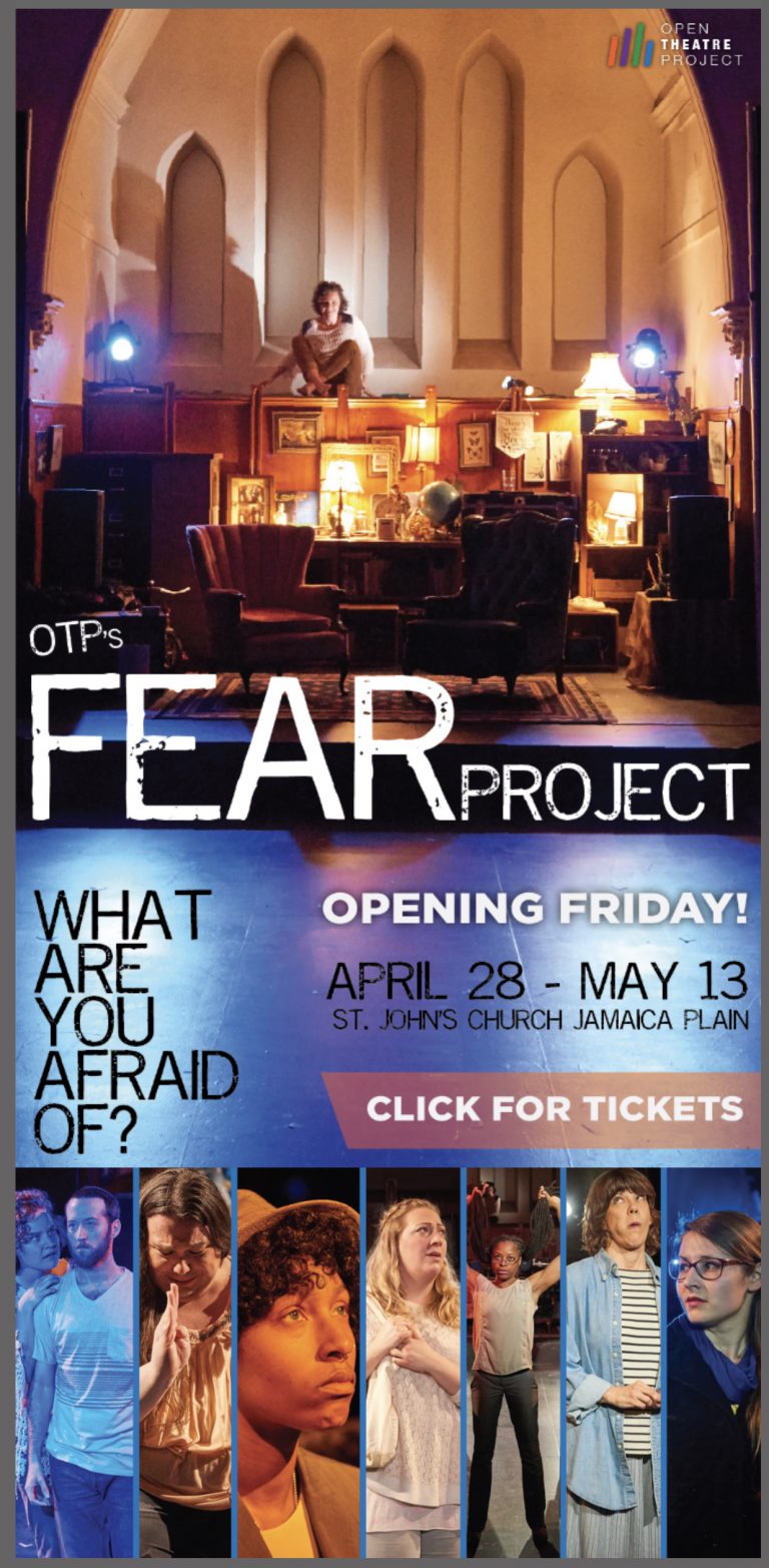 The Fear Project Poster