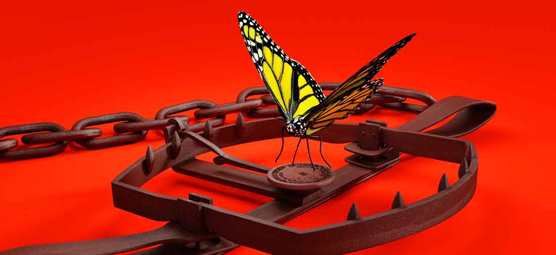 Butterfly in a Bear Trap on red background